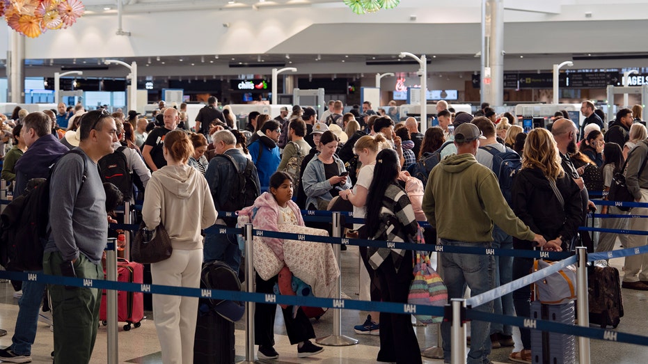 Airports beg flight passengers to change their travel habits after DHS shutdown jams lines Byron Bay Accountants